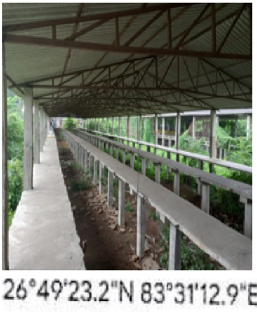 Gurav Poultry, Uttar Pradesh